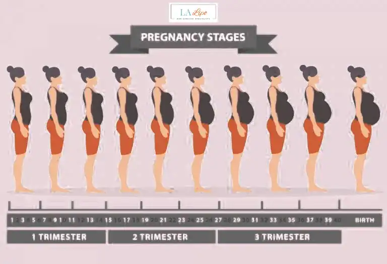First Trimester (Weeks 1–12): Early Changes You Might Not Notice Herefordshire